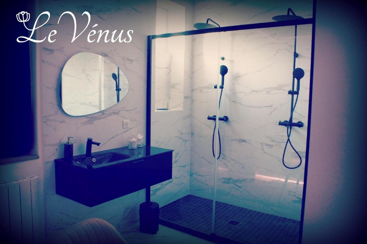 Le Venus - Appartement Spa Privatif Balneo Sauna ディジョン エクステリア 写真