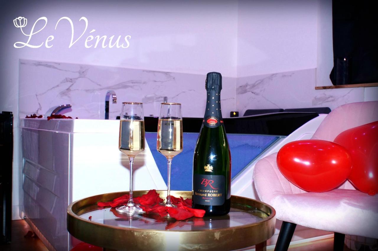 Le Venus - Appartement Spa Privatif Balneo Sauna ディジョン エクステリア 写真